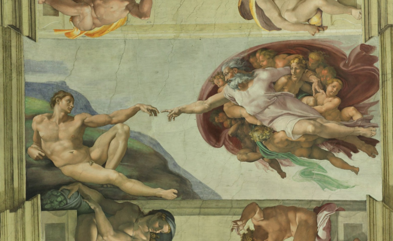 Human Identity: The Complex Creature - Essays - Andrew DeCort